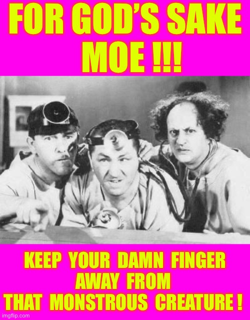 Courage or Stupidity . . . Which One Is More Likely To GET U COOKED ?  : ) | FOR GOD’S SAKE
  MOE !!! KEEP  YOUR  DAMN  FINGER
AWAY  FROM 
THAT  MONSTROUS  CREATURE ! | image tagged in doctor stooges | made w/ Imgflip meme maker