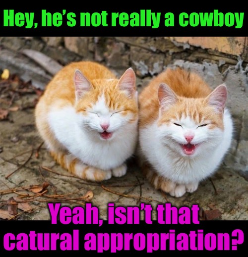 Hey, he’s not really a cowboy Yeah, isn’t that catural appropriation? | made w/ Imgflip meme maker