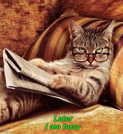 Later
I am busy | made w/ Imgflip meme maker