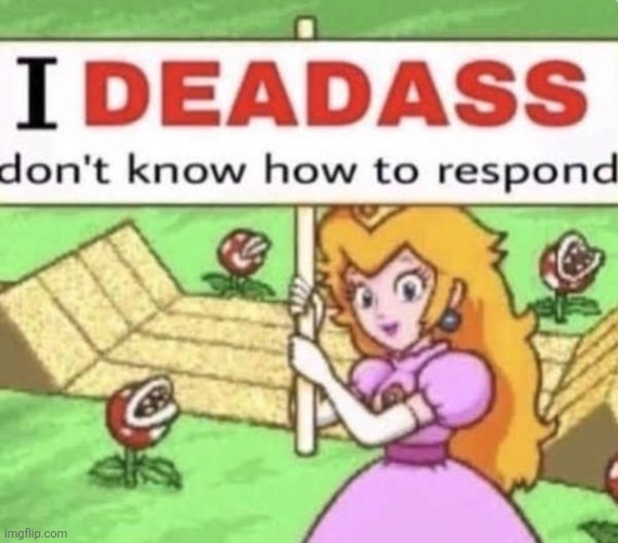 i deadass dont know how to respond | image tagged in i deadass dont know how to respond | made w/ Imgflip meme maker