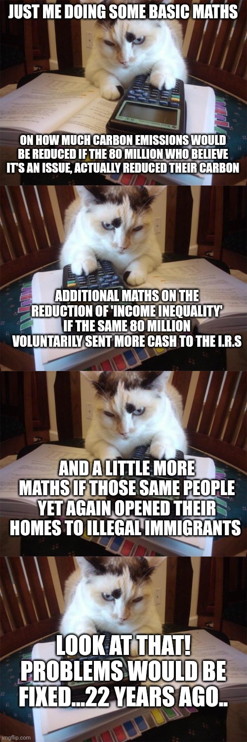 'we have to do something' = Conservatives have to do almost all of it because liberals won't | JUST ME DOING SOME BASIC MATHS; ON HOW MUCH CARBON EMISSIONS WOULD BE REDUCED IF THE 80 MILLION WHO BELIEVE IT'S AN ISSUE, ACTUALLY REDUCED THEIR CARBON; ADDITIONAL MATHS ON THE REDUCTION OF 'INCOME INEQUALITY' IF THE SAME 80 MILLION VOLUNTARILY SENT MORE CASH TO THE I.R.S; AND A LITTLE MORE MATHS IF THOSE SAME PEOPLE YET AGAIN OPENED THEIR HOMES TO ILLEGAL IMMIGRANTS; LOOK AT THAT! PROBLEMS WOULD BE FIXED...22 YEARS AGO.. | image tagged in math cat | made w/ Imgflip meme maker
