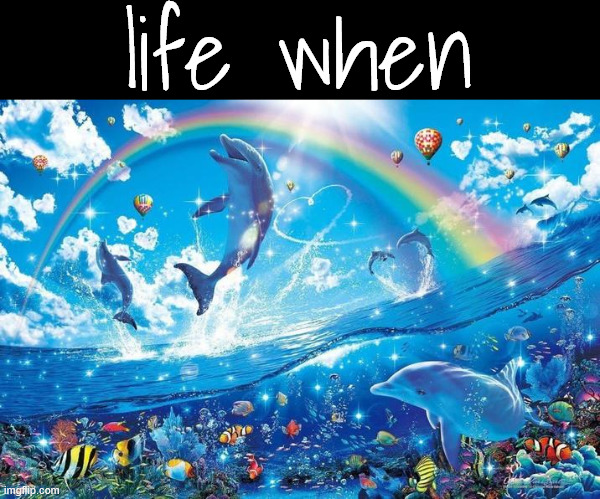 Happy dolphin rainbow | life when | image tagged in happy dolphin rainbow | made w/ Imgflip meme maker