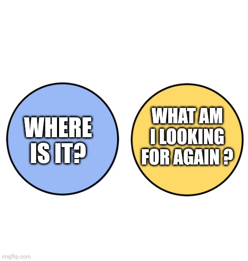 Venn with no overlap, differences | WHERE IS IT? WHAT AM I LOOKING FOR AGAIN ? | image tagged in venn with no overlap differences | made w/ Imgflip meme maker