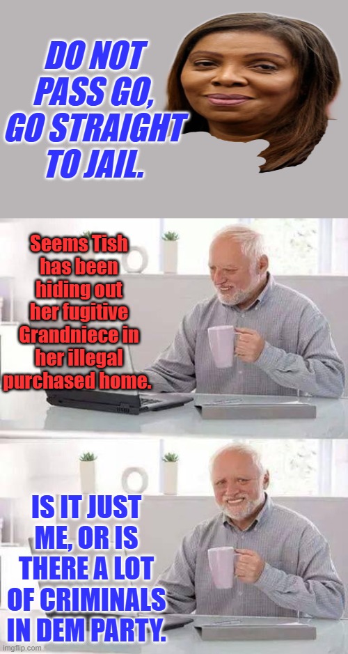 It just keeps getting better. | DO NOT PASS GO, GO STRAIGHT TO JAIL. Seems Tish has been hiding out her fugitive Grandniece in her illegal purchased home. IS IT JUST ME, OR IS THERE A LOT OF CRIMINALS IN DEM PARTY. | image tagged in memes,hide the pain harold | made w/ Imgflip meme maker