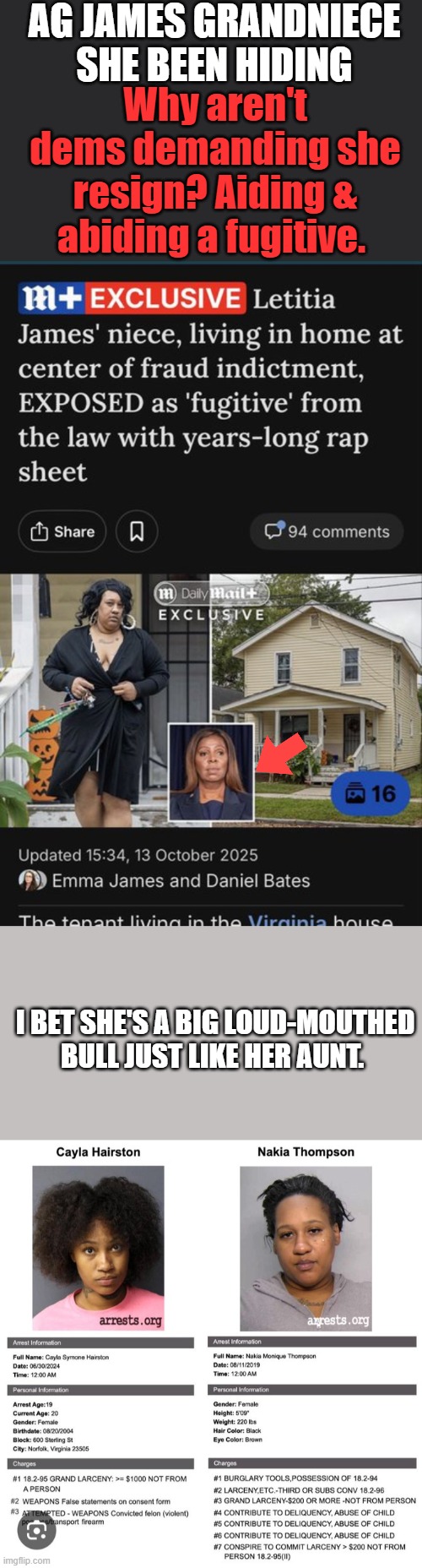AG JAMES GRANDNIECE SHE BEEN HIDING; Why aren't dems demanding she resign? Aiding & abiding a fugitive. I BET SHE'S A BIG LOUD-MOUTHED BULL JUST LIKE HER AUNT. | made w/ Imgflip meme maker