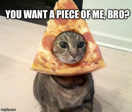 pizza cat | YOU WANT A PIECE OF ME, BRO? | image tagged in pizza cat | made w/ Imgflip meme maker