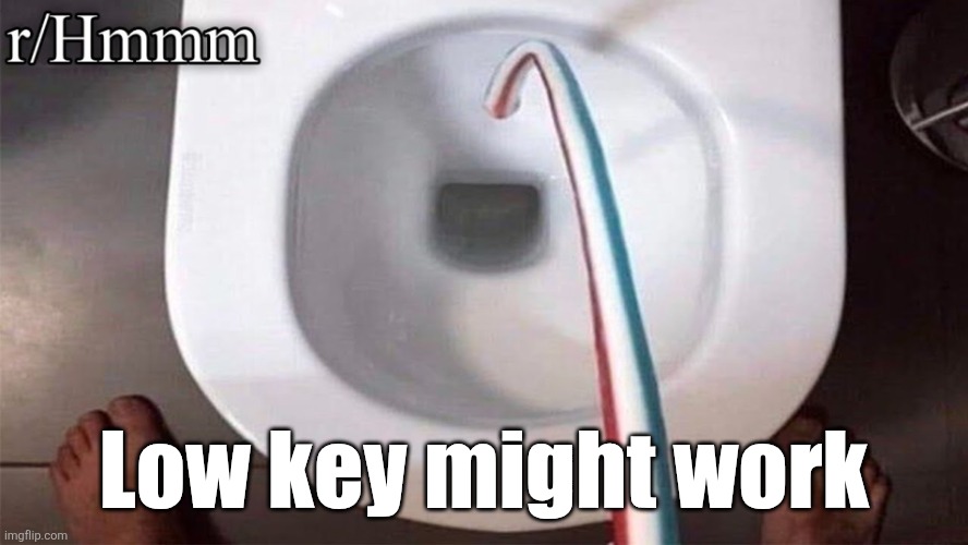 Low key might work | made w/ Imgflip meme maker