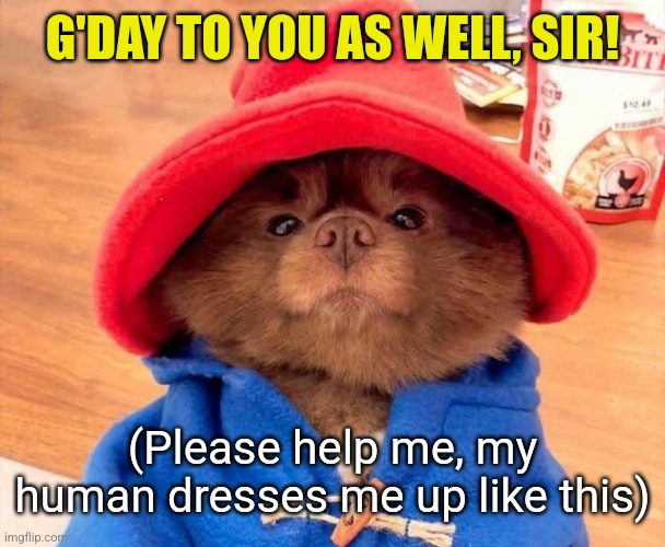 G'DAY TO YOU AS WELL, SIR! (Please help me, my human dresses me up like this) | made w/ Imgflip meme maker