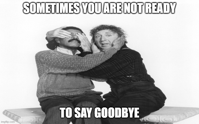 DST Deaf Standard Tiem | SOMETIMES YOU ARE NOT READY; TO SAY GOODBYE | image tagged in asl | made w/ Imgflip meme maker