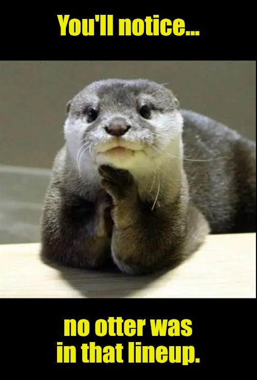 Otter | You'll notice... no otter was in that lineup. | image tagged in otter | made w/ Imgflip meme maker