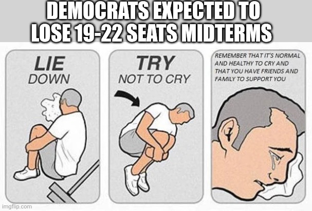 DEMOCRATS EXPECTED TO LOSE 19-22 SEATS MIDTERMS | image tagged in funny memes | made w/ Imgflip meme maker