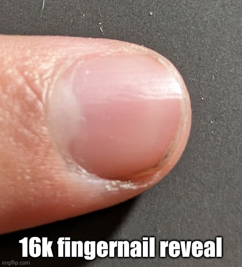 16k fingernail reveal | made w/ Imgflip meme maker