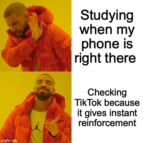 Matching Law-ABA Fun | Studying when my phone is right there; Checking TikTok because it gives instant reinforcement | image tagged in memes,drake hotline bling | made w/ Imgflip meme maker