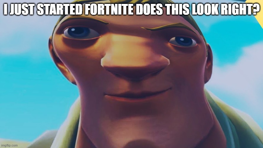 I JUST STARTED FORTNITE DOES THIS LOOK RIGHT? | made w/ Imgflip meme maker
