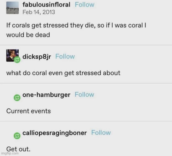Coral | image tagged in stress,bleach,current events | made w/ Imgflip meme maker