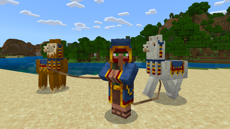 Wandering Trader Blank Meme Template