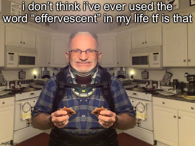 gampa | i don’t think i’ve ever used the word “effervescent” in my life tf is that | image tagged in gampa | made w/ Imgflip meme maker