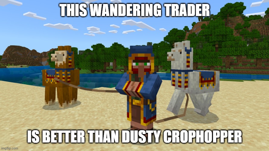 Wandering Trader | THIS WANDERING TRADER; IS BETTER THAN DUSTY CROPHOPPER | image tagged in wandering trader | made w/ Imgflip meme maker