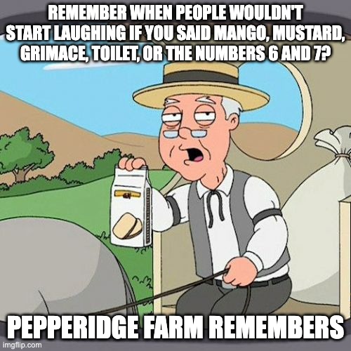 The good old days... | REMEMBER WHEN PEOPLE WOULDN'T START LAUGHING IF YOU SAID MANGO, MUSTARD, GRIMACE, TOILET, OR THE NUMBERS 6 AND 7? PEPPERIDGE FARM REMEMBERS | image tagged in memes,pepperidge farm remembers,brainrot,the world is cooked | made w/ Imgflip meme maker