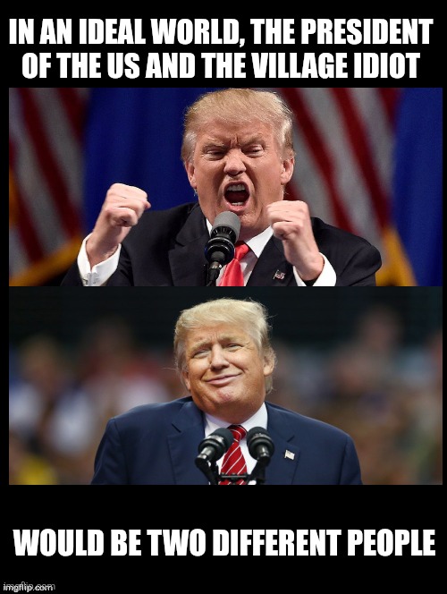 The moment when people realize you aren't acting like an idiot, but the reality is you are an idiot! | IN AN IDEAL WORLD, THE PRESIDENT OF THE US AND THE VILLAGE IDIOT; WOULD BE TWO DIFFERENT PEOPLE | image tagged in angry stupid trump,village idiot | made w/ Imgflip meme maker