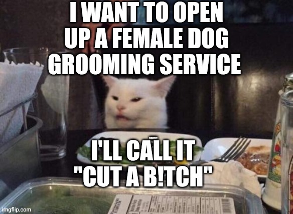 Smudge that darn cat | I WANT TO OPEN UP A FEMALE DOG GROOMING SERVICE; I'LL CALL IT "CUT A B!TCH" | image tagged in smudge that darn cat | made w/ Imgflip meme maker