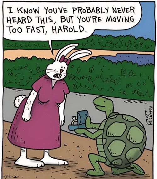 slow down there, buddy | image tagged in funny,hare,turtle,cartoon,moving too fast,engagement | made w/ Imgflip meme maker