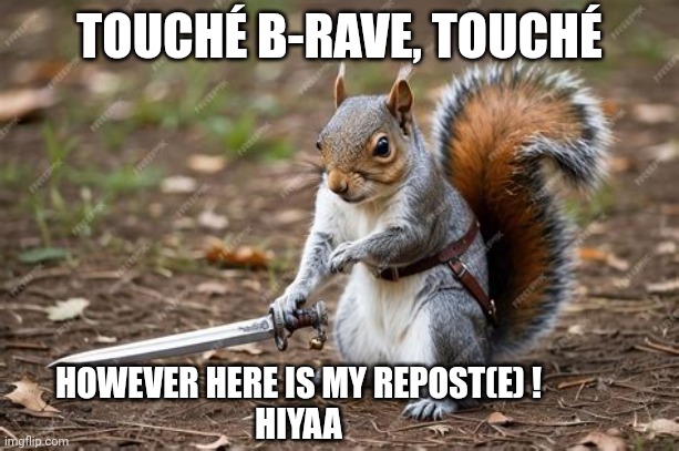 TOUCHÉ B-RAVE, TOUCHÉ HOWEVER HERE IS MY REPOST(E) !
HIYAA | made w/ Imgflip meme maker