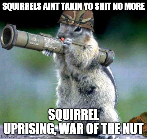 War | SQUIRRELS AINT TAKIN YO SHIT NO MORE; SQUIRREL UPRISING, WAR OF THE NUT | image tagged in memes,bazooka squirrel | made w/ Imgflip meme maker