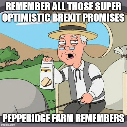 Pepperidge Farm Remembers | REMEMBER ALL THOSE SUPER OPTIMISTIC BREXIT PROMISES; PEPPERIDGE FARM REMEMBERS | image tagged in memes,pepperidge farm remembers | made w/ Imgflip meme maker