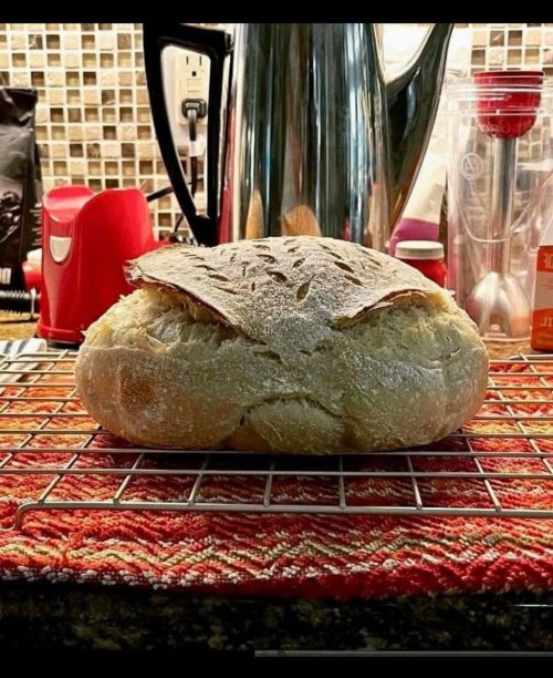 angry bread Blank Meme Template