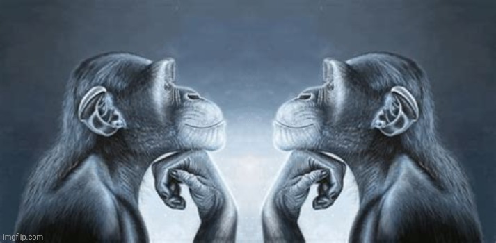 monkey pondering at pondering monkey | image tagged in tiger yell at pondering monkey | made w/ Imgflip meme maker