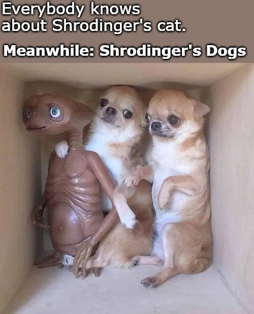Everybody knows about Shrodinger's cat. Meanwhile: Shrodinger's Dogs | image tagged in phone home | made w/ Imgflip meme maker
