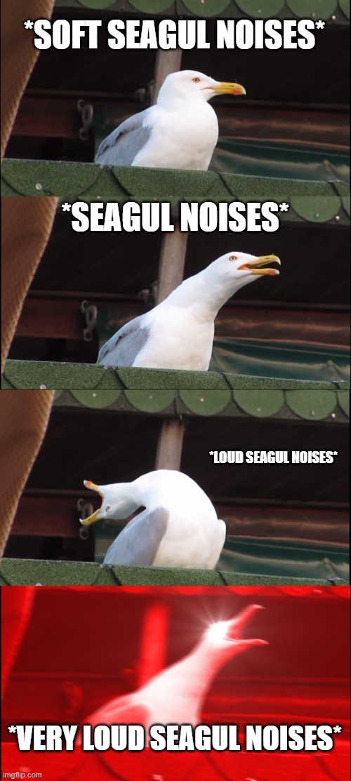 Inhaling Seagull Meme | *SOFT SEAGUL NOISES*; *SEAGUL NOISES*; *LOUD SEAGUL NOISES*; *VERY LOUD SEAGUL NOISES* | image tagged in memes,inhaling seagull | made w/ Imgflip meme maker