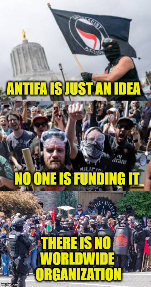 Cognitive dissonance must be a bitch | ANTIFA IS JUST AN IDEA; NO ONE IS FUNDING IT; THERE IS NO 
WORLDWIDE
 ORGANIZATION | image tagged in antifa | made w/ Imgflip meme maker