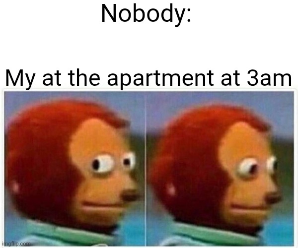 Who is this | Nobody:; My at the apartment at 3am | image tagged in memes,monkey puppet | made w/ Imgflip meme maker