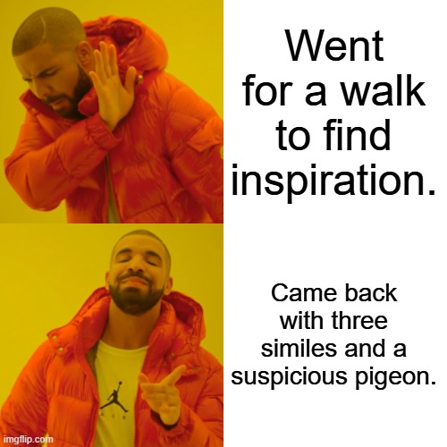 Writers Bloc | Went for a walk to find inspiration. Came back with three similes and a suspicious pigeon. | image tagged in memes,drake hotline bling | made w/ Imgflip meme maker