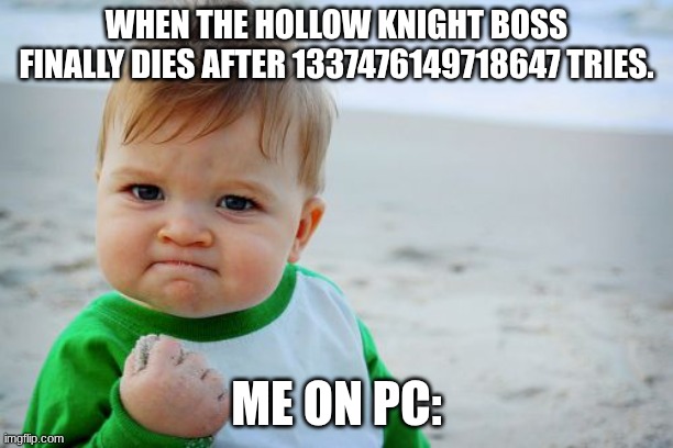 Hollow Knight Bosses Right? | WHEN THE HOLLOW KNIGHT BOSS FINALLY DIES AFTER 1337476149718647 TRIES. ME ON PC: | image tagged in memes,success kid original | made w/ Imgflip meme maker