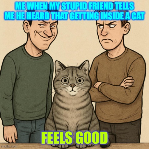 this just shows that he is that stupid | ME WHEN MY STUPID FRIEND TELLS ME HE HEARD THAT GETTING INSIDE A CAT; FEELS GOOD | image tagged in poor animals,stoopid | made w/ Imgflip meme maker