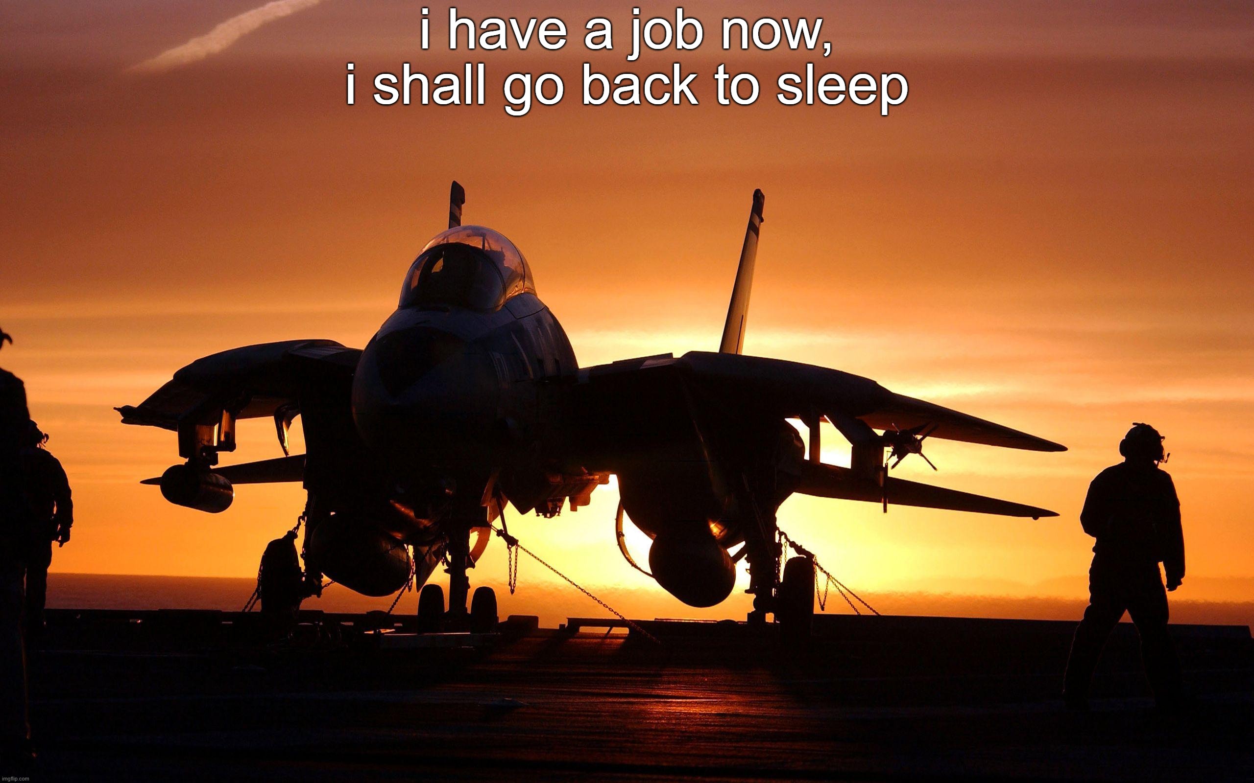 i have a job now, i shall go back to sleep | made w/ Imgflip meme maker