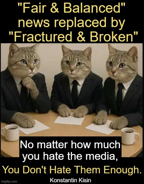 Globalist Agenda & Leftist Propaganda News | "Fair & Balanced" 
news replaced by 
"Fractured & Broken"; No matter how much 
you hate the media, You Don't Hate Them Enough. Konstantin Kisin | image tagged in the problem is,biased media,liberal media,unfair,radical,sounds like communist propaganda | made w/ Imgflip meme maker