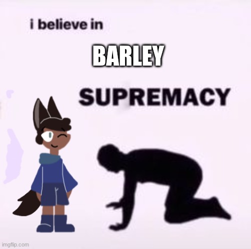 BARLEYYYYYYYYYYYYYY (New OC!) | BARLEY | image tagged in i believe in supremacy,ocs,comic | made w/ Imgflip meme maker