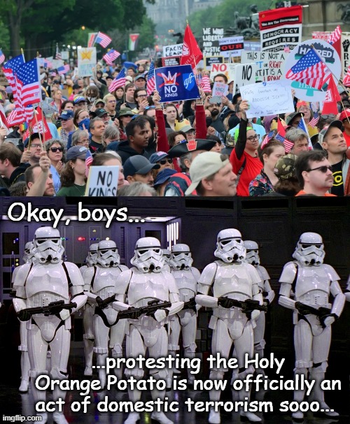 Weakly defined parameters make for directives easily stretched to silence anyone who dares speak out. | Okay, boys... ...protesting the Holy Orange Potato is now officially an act of domestic terrorism sooo... | image tagged in no kings,imperial stormtroopers,trump unfit unqualified dangerous,wannabe,dictator | made w/ Imgflip meme maker