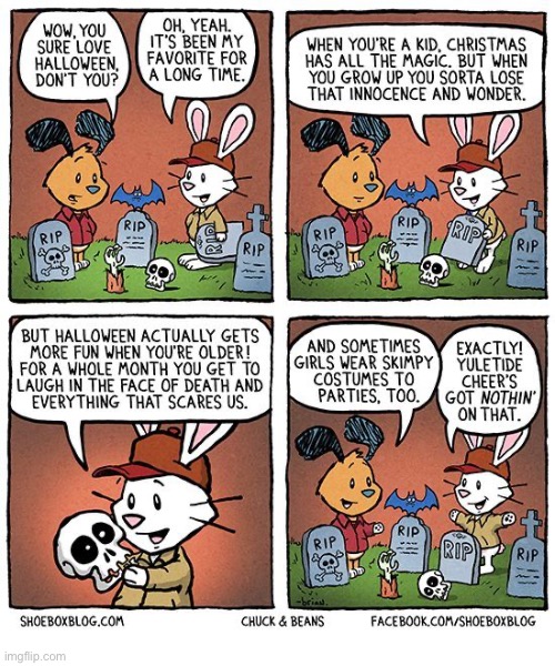 Chuck & Beans | image tagged in comics,chuck and beans,halloween,christmas,more fun | made w/ Imgflip meme maker