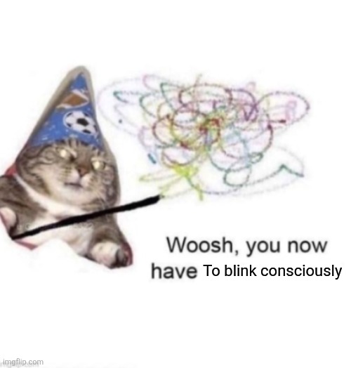 woosh you now have | To blink consciously | image tagged in woosh you now have | made w/ Imgflip meme maker