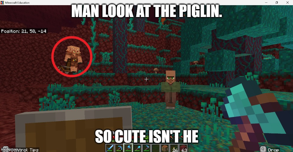 Look at the piglin | MAN LOOK AT THE PIGLIN. SO CUTE ISN'T HE | image tagged in gaming | made w/ Imgflip meme maker