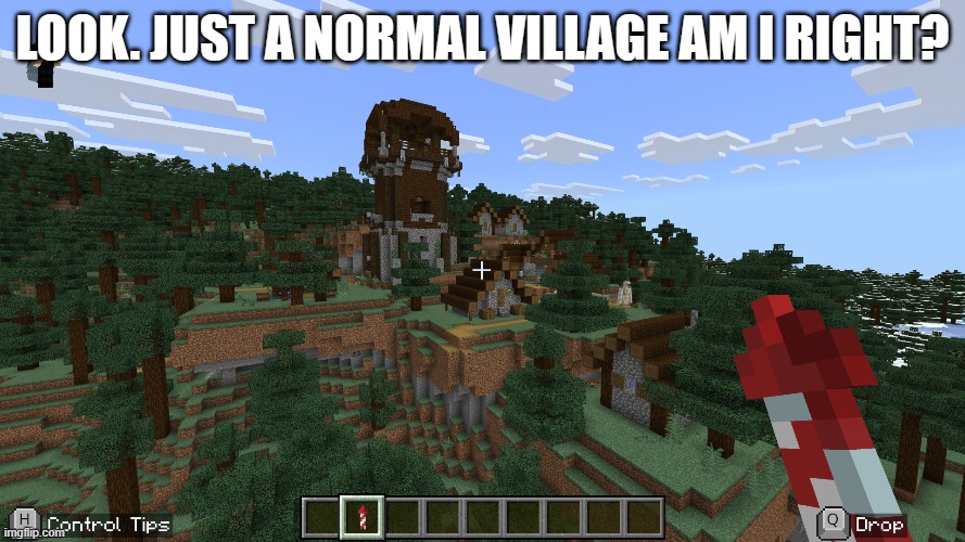 Look a village | LOOK. JUST A NORMAL VILLAGE AM I RIGHT? | image tagged in gaming | made w/ Imgflip meme maker