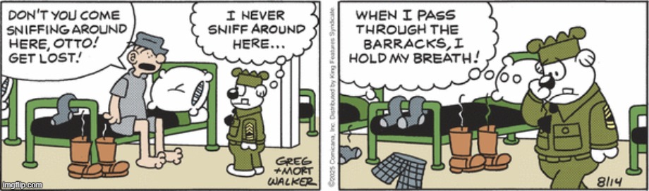 Beetle Bailey | image tagged in comics | made w/ Imgflip meme maker