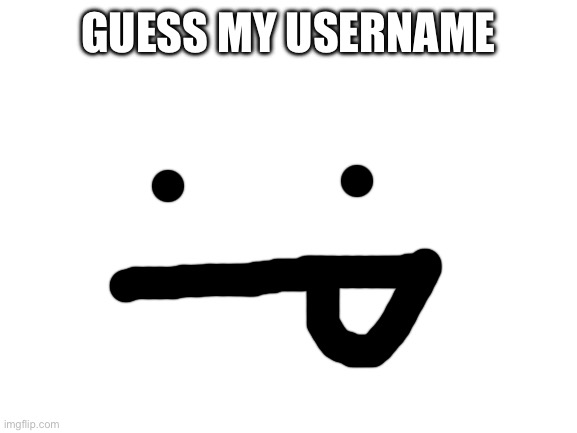 Blank White Template | GUESS MY USERNAME | image tagged in blank white template | made w/ Imgflip meme maker