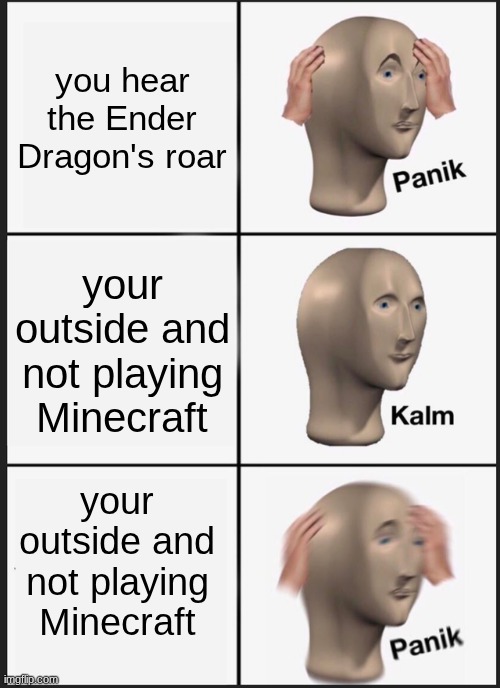 Panik Kalm Panik | you hear the Ender Dragon's roar; your outside and not playing Minecraft; your outside and not playing Minecraft | image tagged in memes,panik kalm panik | made w/ Imgflip meme maker
