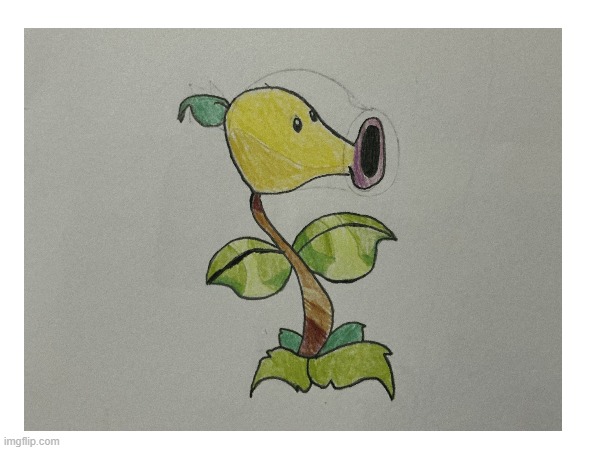 Bellsprout as Peashooter | image tagged in oh wow are you actually reading these tags,plants vs zombies,pokemon | made w/ Imgflip meme maker